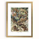 Lacertilia Modern Wall Art – Intricate Natural History Decor