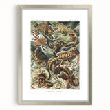 Lacertilia Modern Wall Art – Intricate Natural History Decor