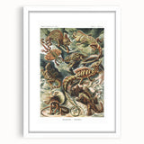 Lacertilia Modern Wall Art – Intricate Natural History Decor