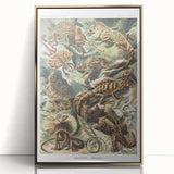 Lacertilia Modern Wall Art – Intricate Natural History Decor
