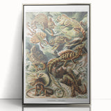 Lacertilia Modern Wall Art – Intricate Natural History Decor