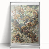 Lacertilia Modern Wall Art – Intricate Natural History Decor