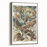 Lacertilia Modern Wall Art – Intricate Natural History Decor