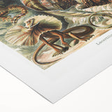 Lacertilia Modern Wall Art – Intricate Natural History Decor