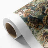 Lacertilia Modern Wall Art – Intricate Natural History Decor