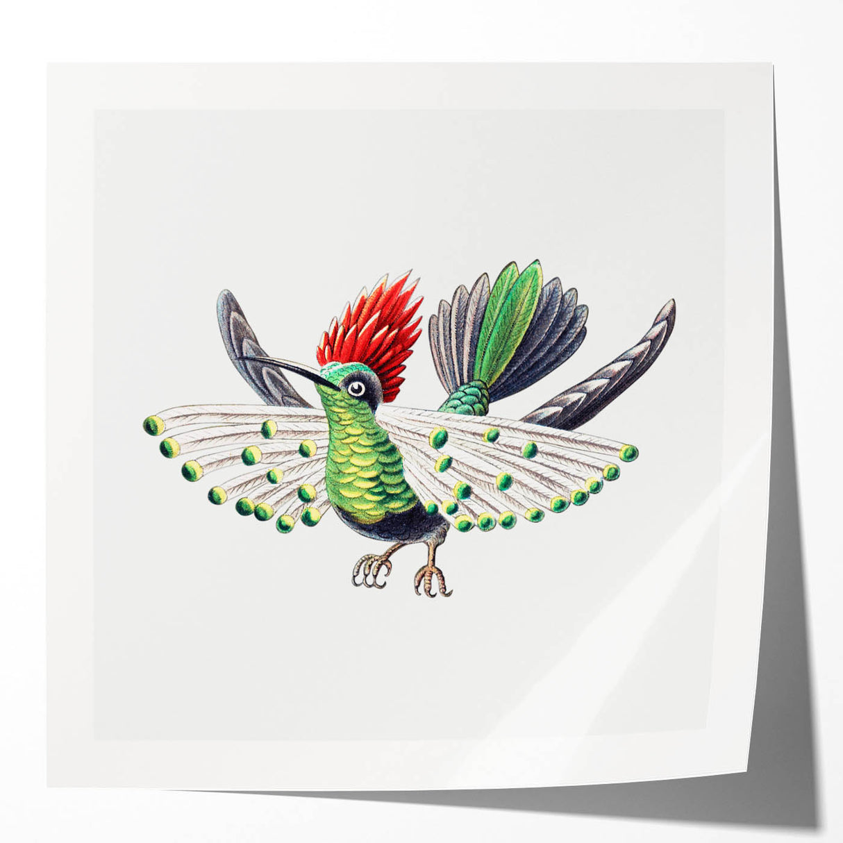 Modern Wall Art - Vibrant Hummingbird Illustration in Bold Colors