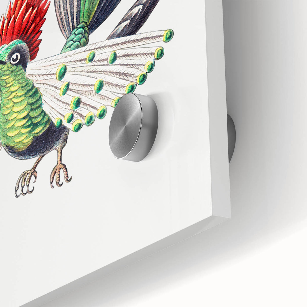 Modern Wall Art - Vibrant Hummingbird Illustration in Bold Colors