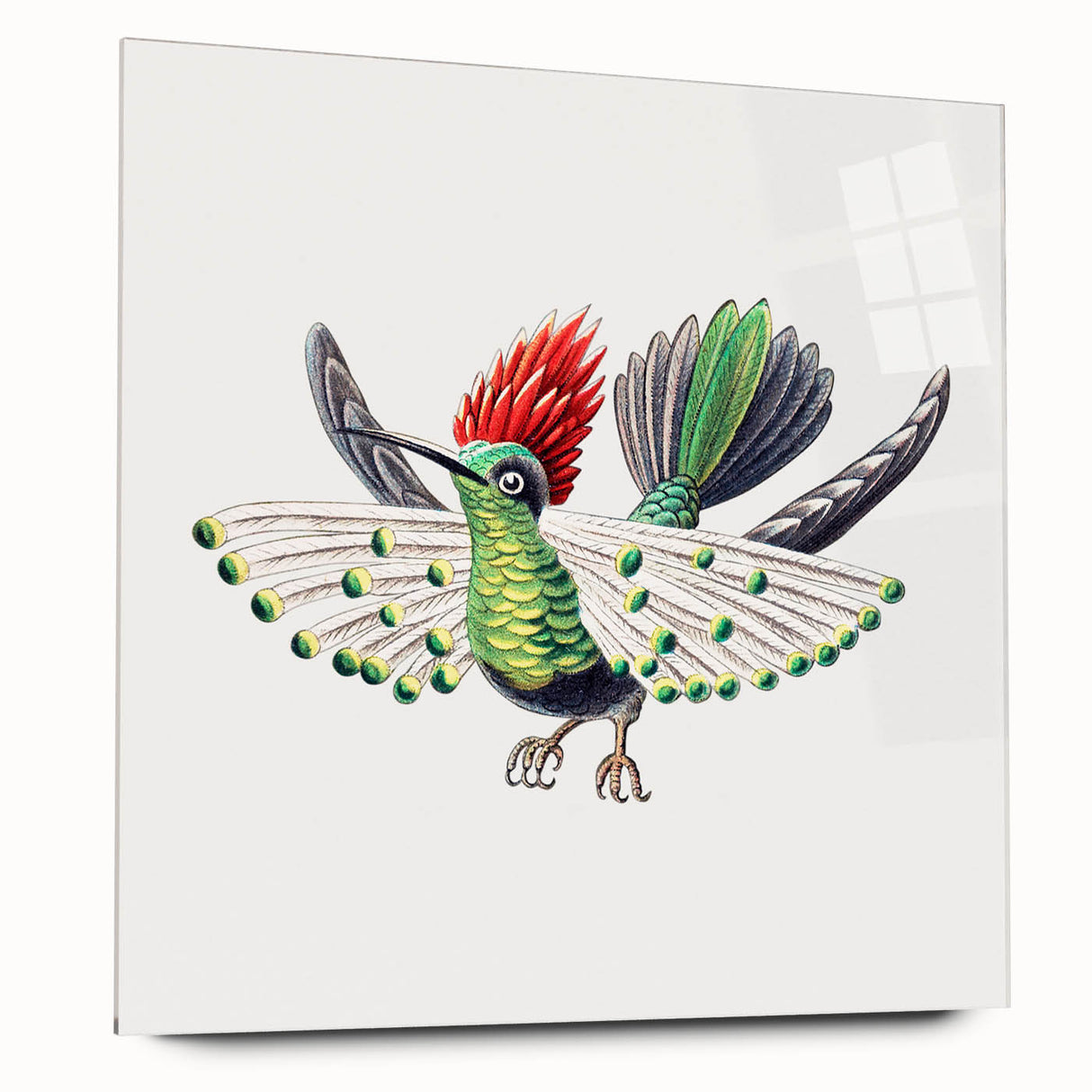 Modern Wall Art - Vibrant Hummingbird Illustration in Bold Colors