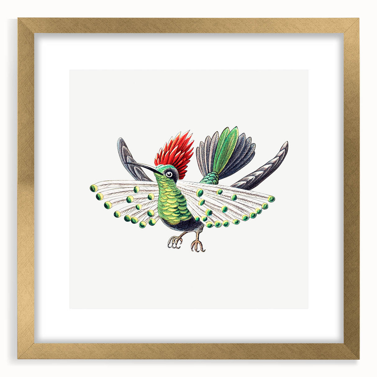 Modern Wall Art - Vibrant Hummingbird Illustration in Bold Colors