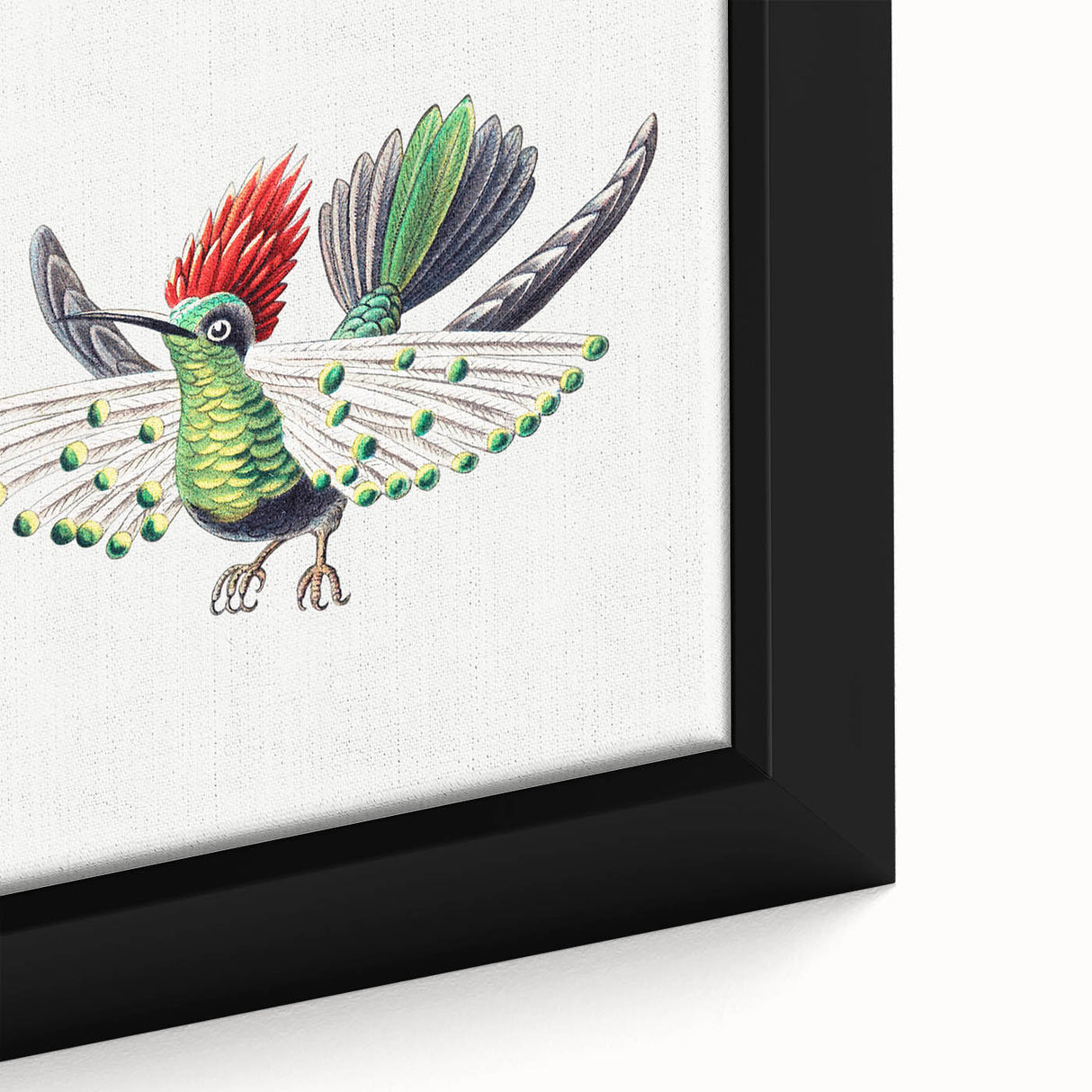 Modern Wall Art - Vibrant Hummingbird Illustration in Bold Colors