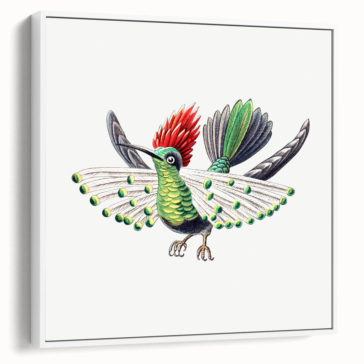 Modern Wall Art - Vibrant Hummingbird Illustration in Bold Colors