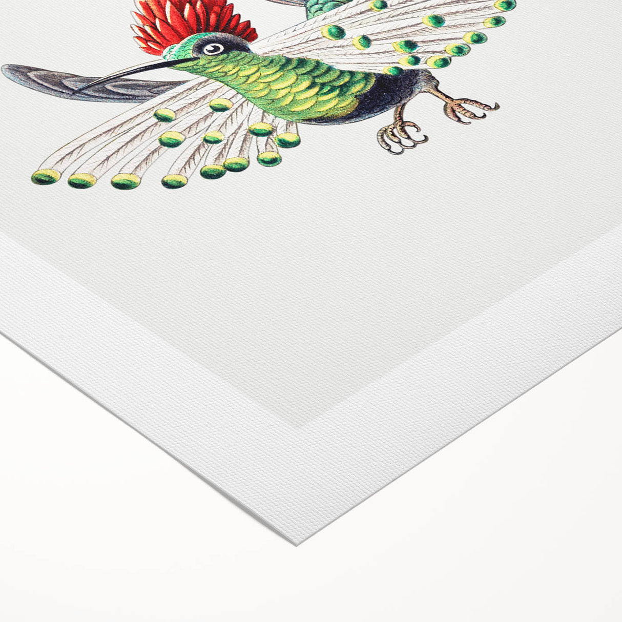 Modern Wall Art - Vibrant Hummingbird Illustration in Bold Colors