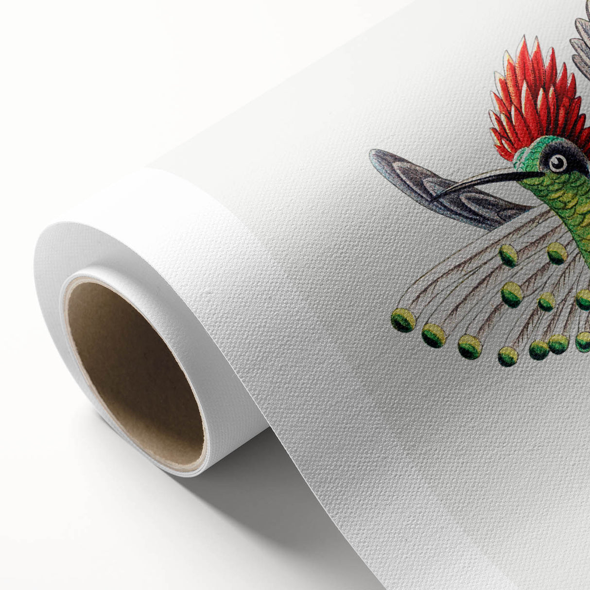 Modern Wall Art - Vibrant Hummingbird Illustration in Bold Colors