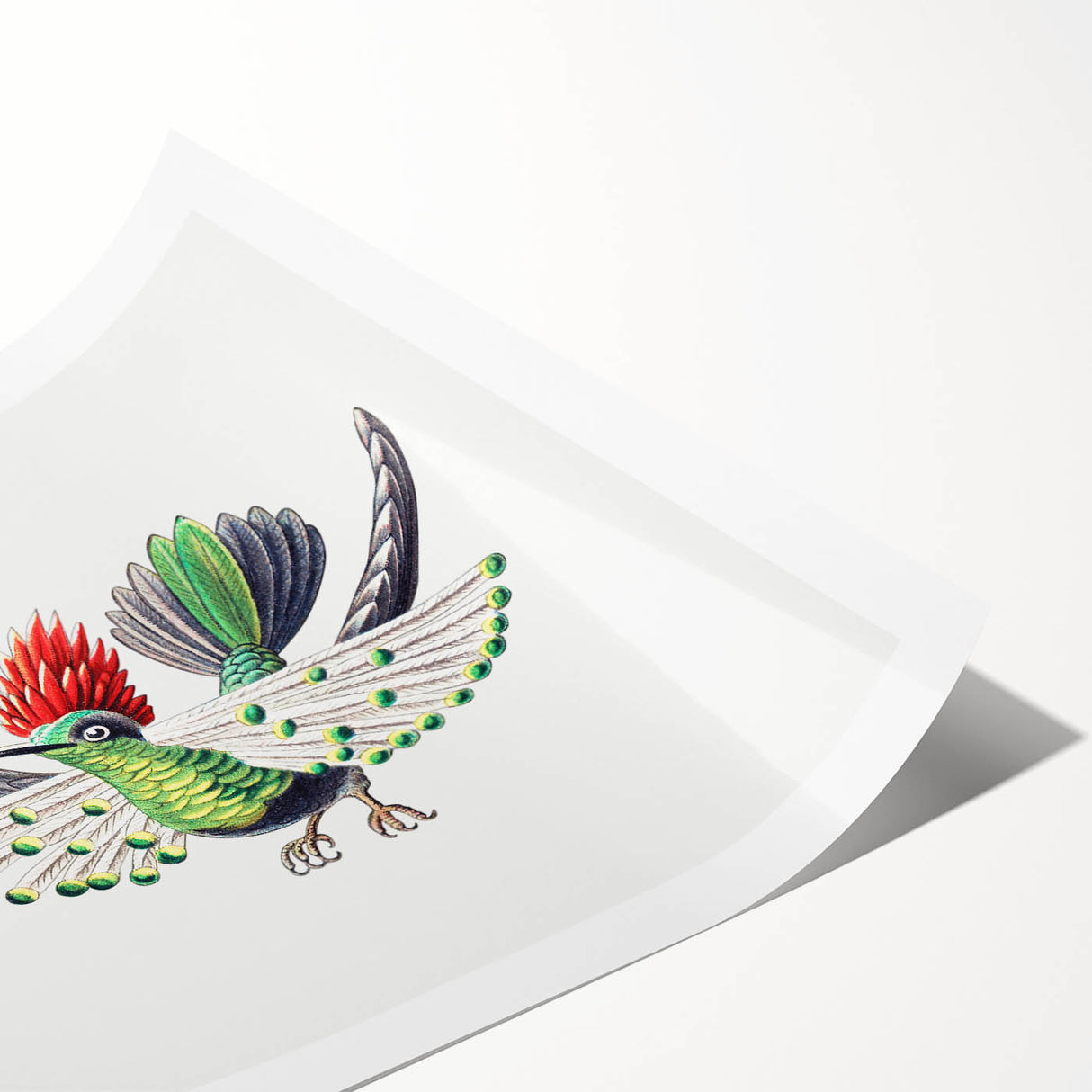 Modern Wall Art - Vibrant Hummingbird Illustration in Bold Colors