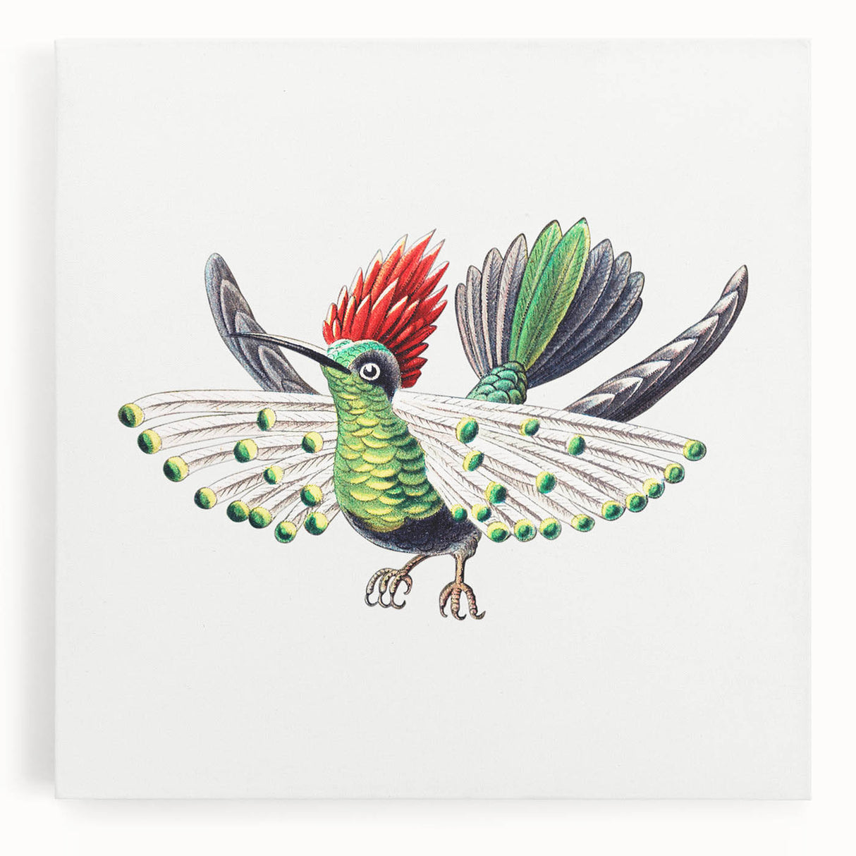 Modern Wall Art - Vibrant Hummingbird Illustration in Bold Colors