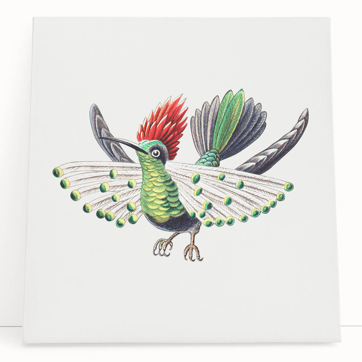 Modern Wall Art - Vibrant Hummingbird Illustration in Bold Colors