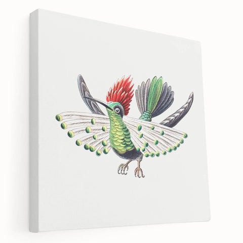Modern Wall Art - Vibrant Hummingbird Illustration in Bold Colors