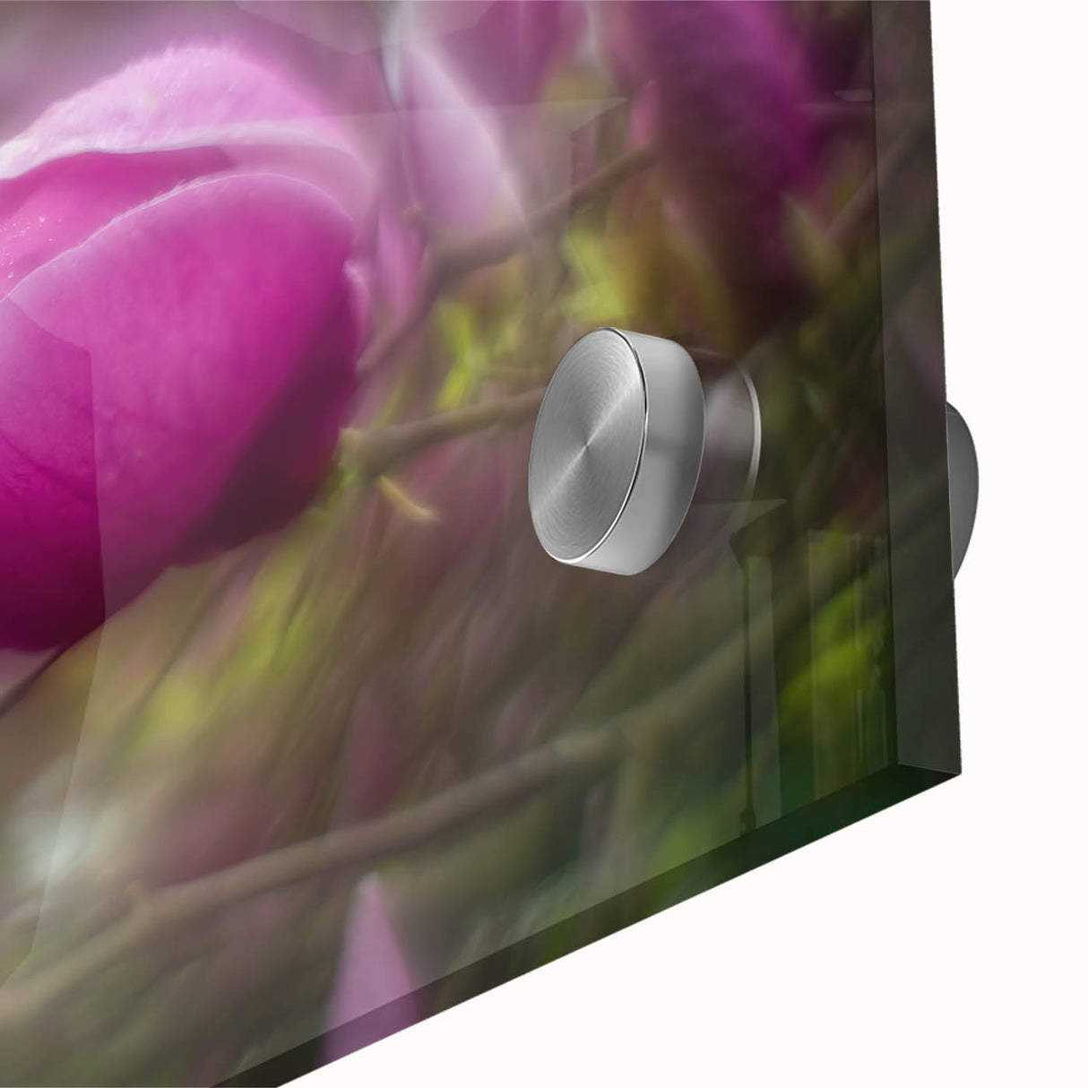 Petal Radiance – Vivid Bloom Captured in Dreamlike Motion Blur