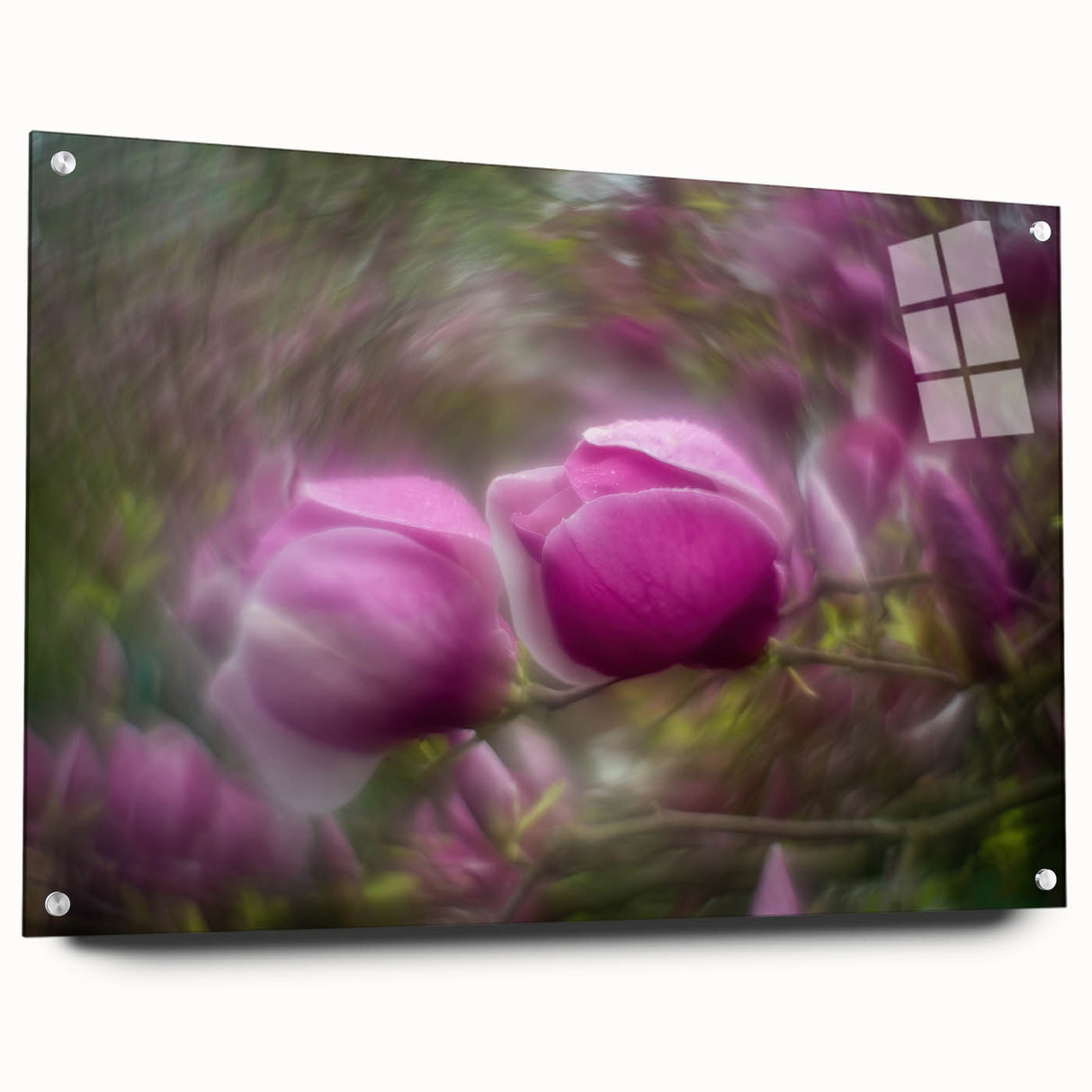Petal Radiance – Vivid Bloom Captured in Dreamlike Motion Blur