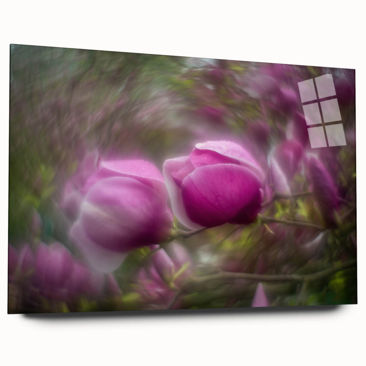 Petal Radiance – Vivid Bloom Captured in Dreamlike Motion Blur