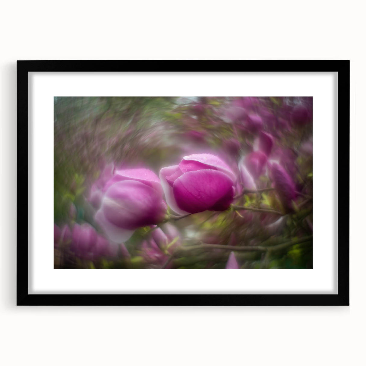 Petal Radiance – Vivid Bloom Captured in Dreamlike Motion Blur