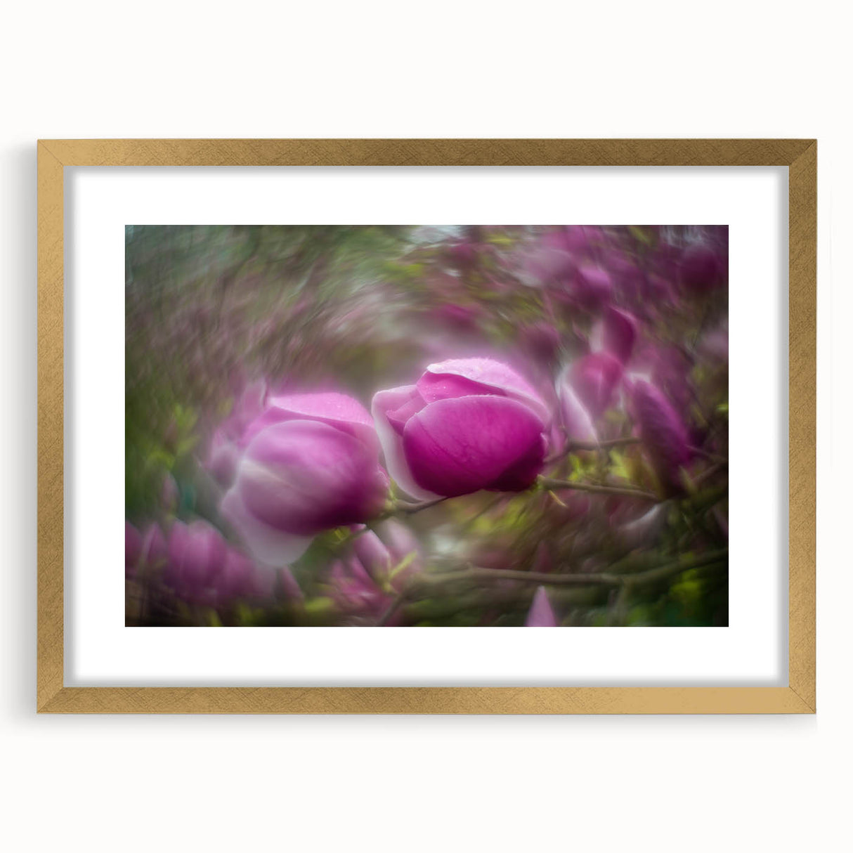 Petal Radiance – Vivid Bloom Captured in Dreamlike Motion Blur