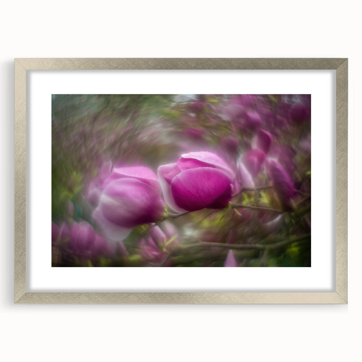 Petal Radiance – Vivid Bloom Captured in Dreamlike Motion Blur