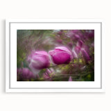 Petal Radiance – Vivid Bloom Captured in Dreamlike Motion Blur