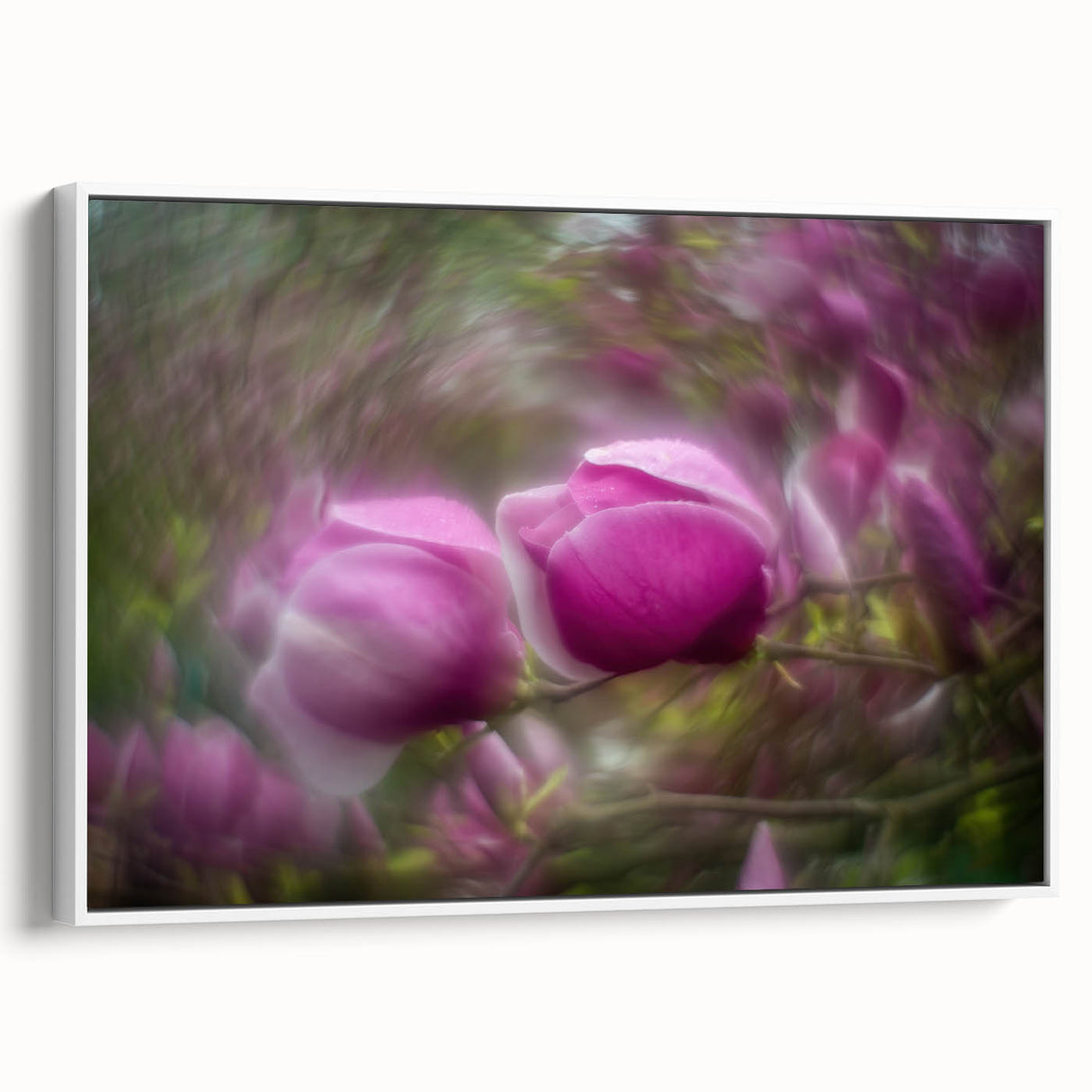 Petal Radiance – Vivid Bloom Captured in Dreamlike Motion Blur