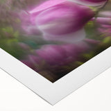 Petal Radiance – Vivid Bloom Captured in Dreamlike Motion Blur