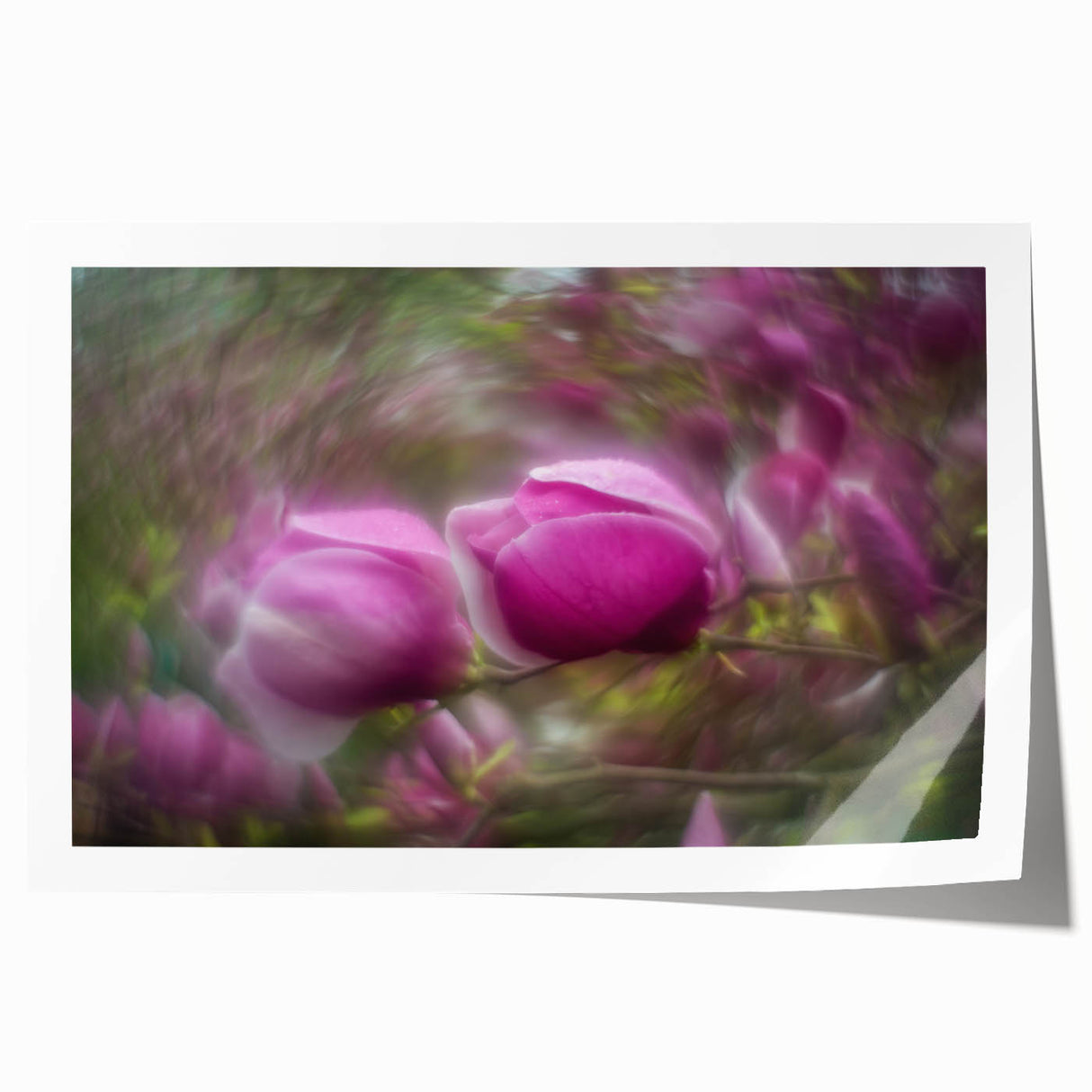 Petal Radiance – Vivid Bloom Captured in Dreamlike Motion Blur