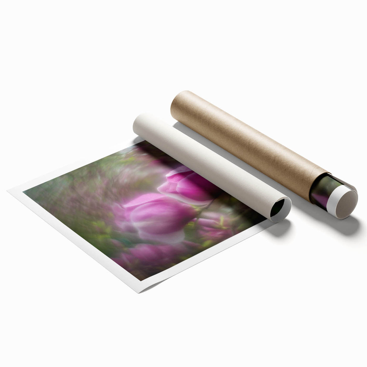 Petal Radiance – Vivid Bloom Captured in Dreamlike Motion Blur