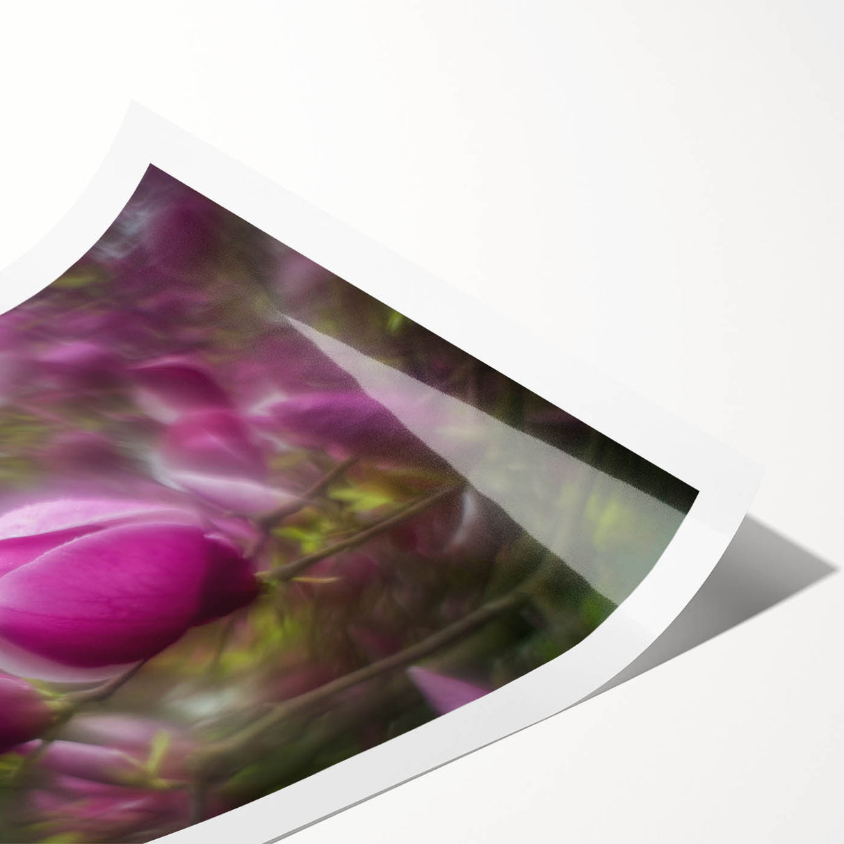 Petal Radiance – Vivid Bloom Captured in Dreamlike Motion Blur