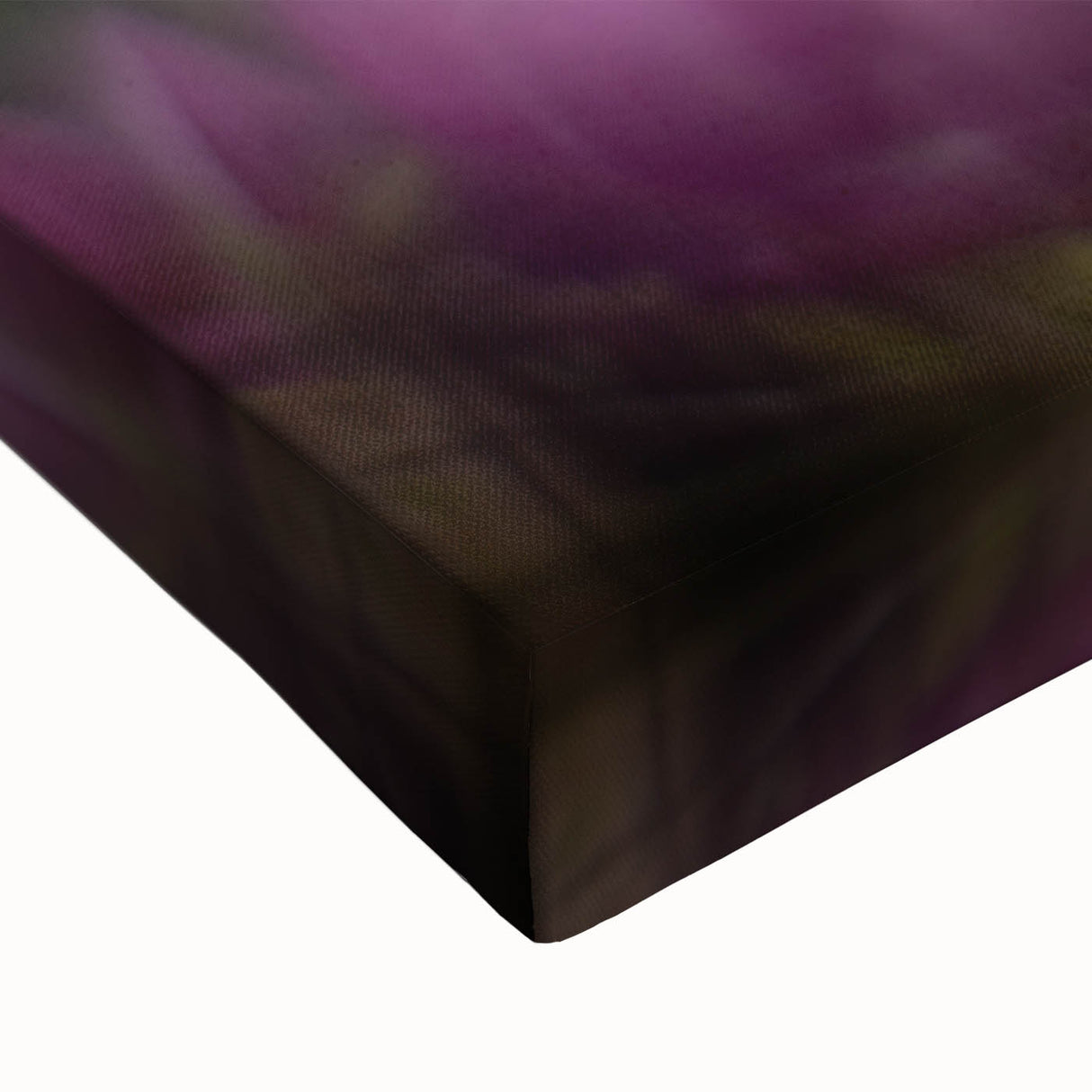 Petal Radiance – Vivid Bloom Captured in Dreamlike Motion Blur
