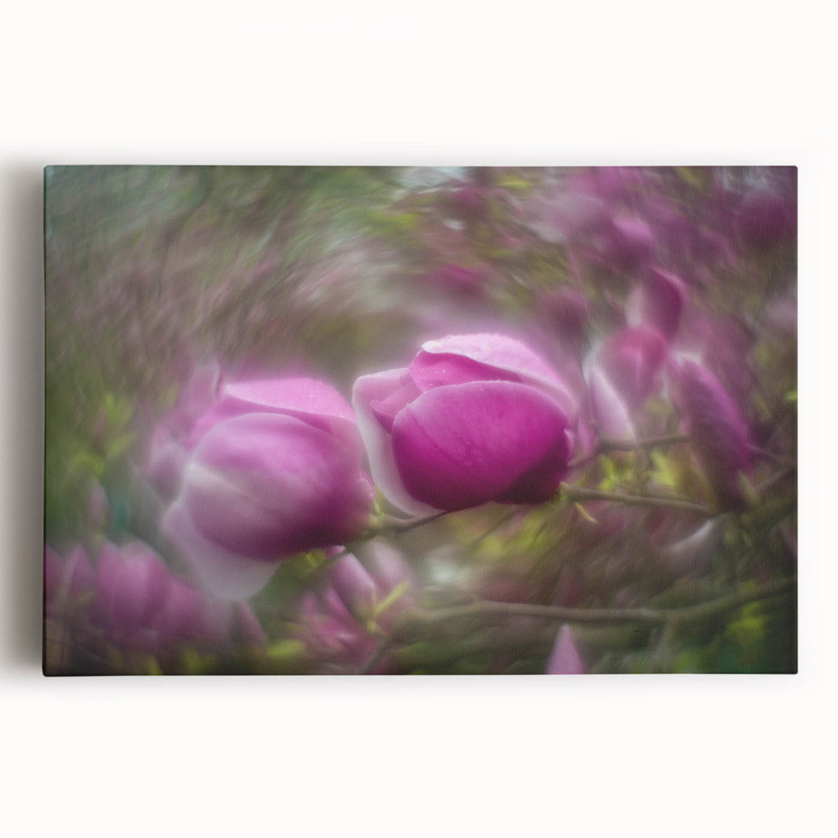 Petal Radiance – Vivid Bloom Captured in Dreamlike Motion Blur