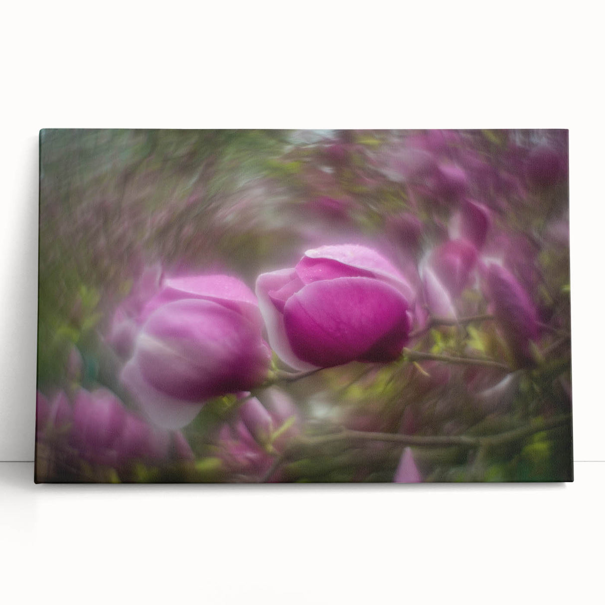 Petal Radiance – Vivid Bloom Captured in Dreamlike Motion Blur