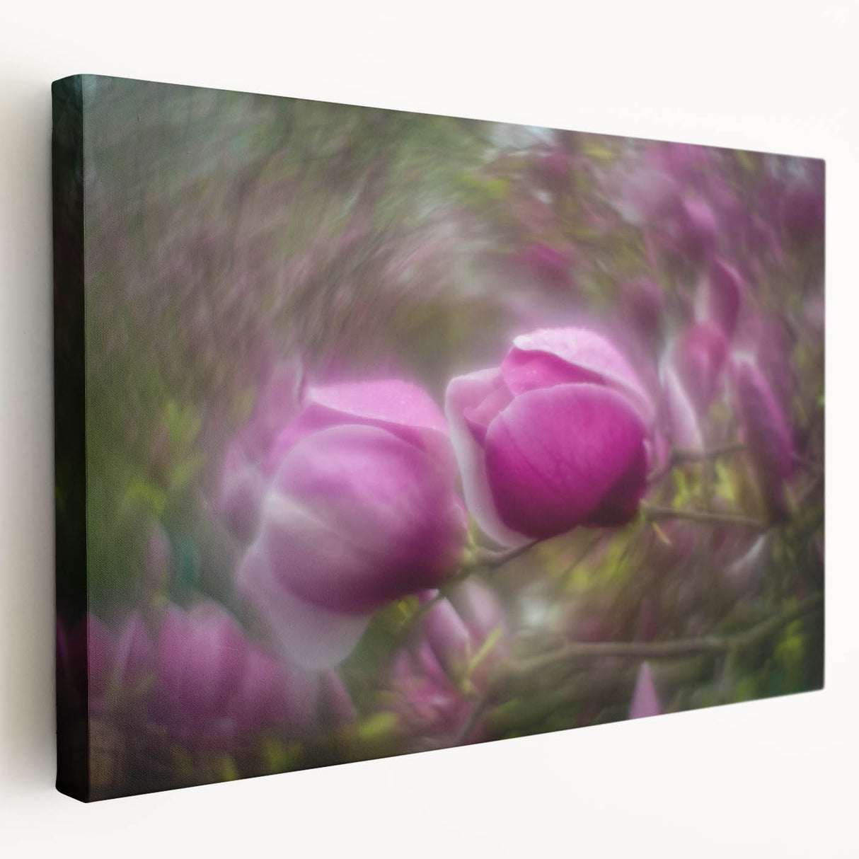 Petal Radiance – Vivid Bloom Captured in Dreamlike Motion Blur