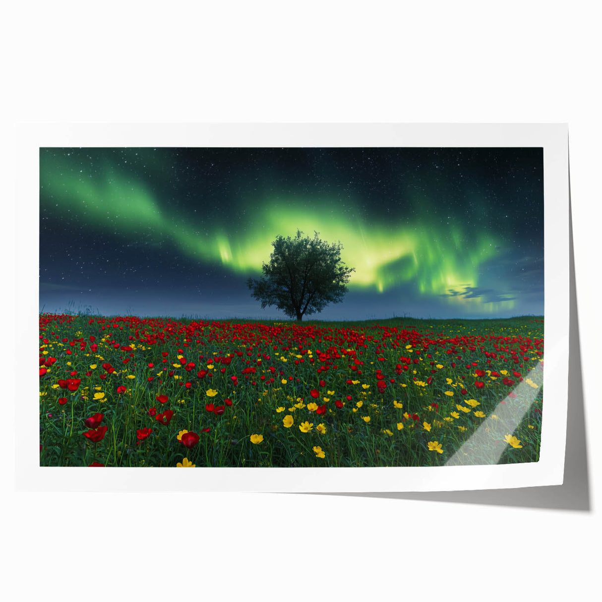 Vibrant rolled canvas print showcasing a serene landscape of rolling fields under a bright blue sky, perfect for home decor. Designed for art enthusiasts and nature lovers.