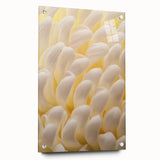 Close-up floral acrylic print in vibrant colors, ideal for bedroom or dining room decor.