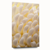 Large abstract floral design in vibrant colors on acrylic glass, suitable for bedroom or dining room decor.