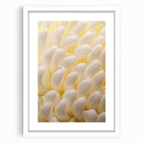 Abstract art print of vibrant floral patterns in a white frame, suitable for dining room or bedroom decor.