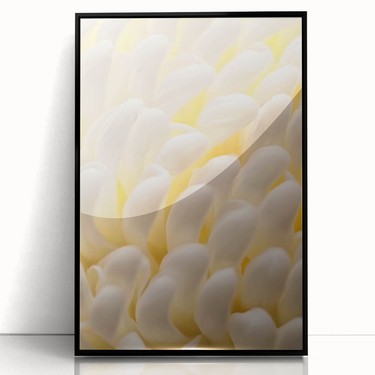 Large abstract wall art featuring close-up floral designs in vibrant colors on a black acrylic framed print.