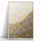 Art deco poster featuring close-up floral design in muted pastel colors, framed in white acrylic.