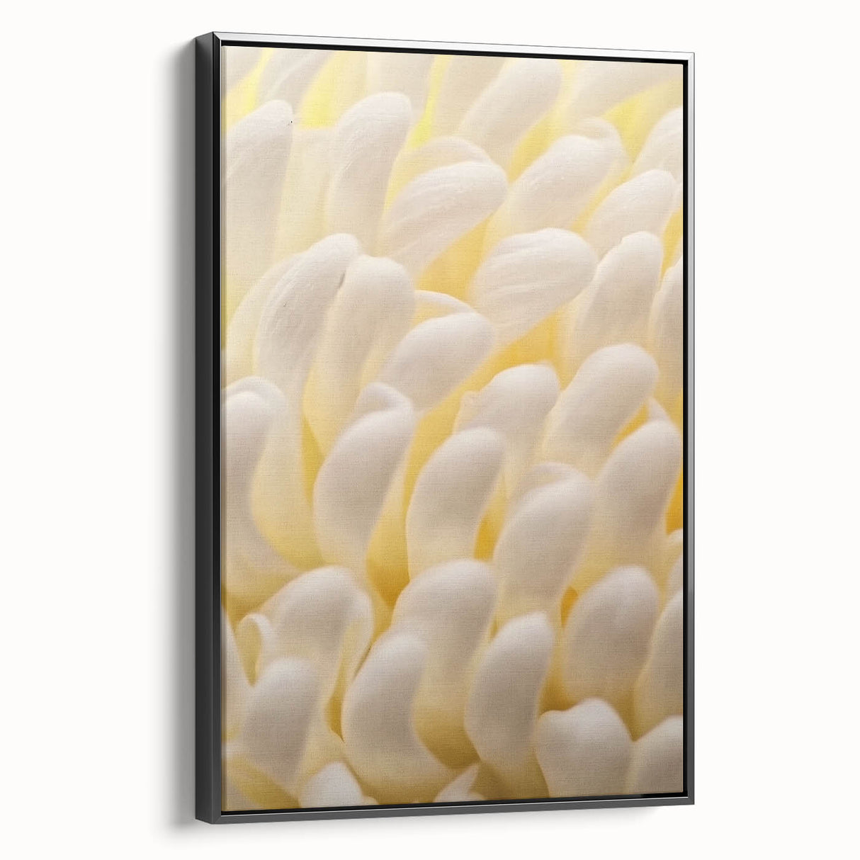 Black and white framed canvas depicting a vintage floral landscape, ideal for bedroom wall art.