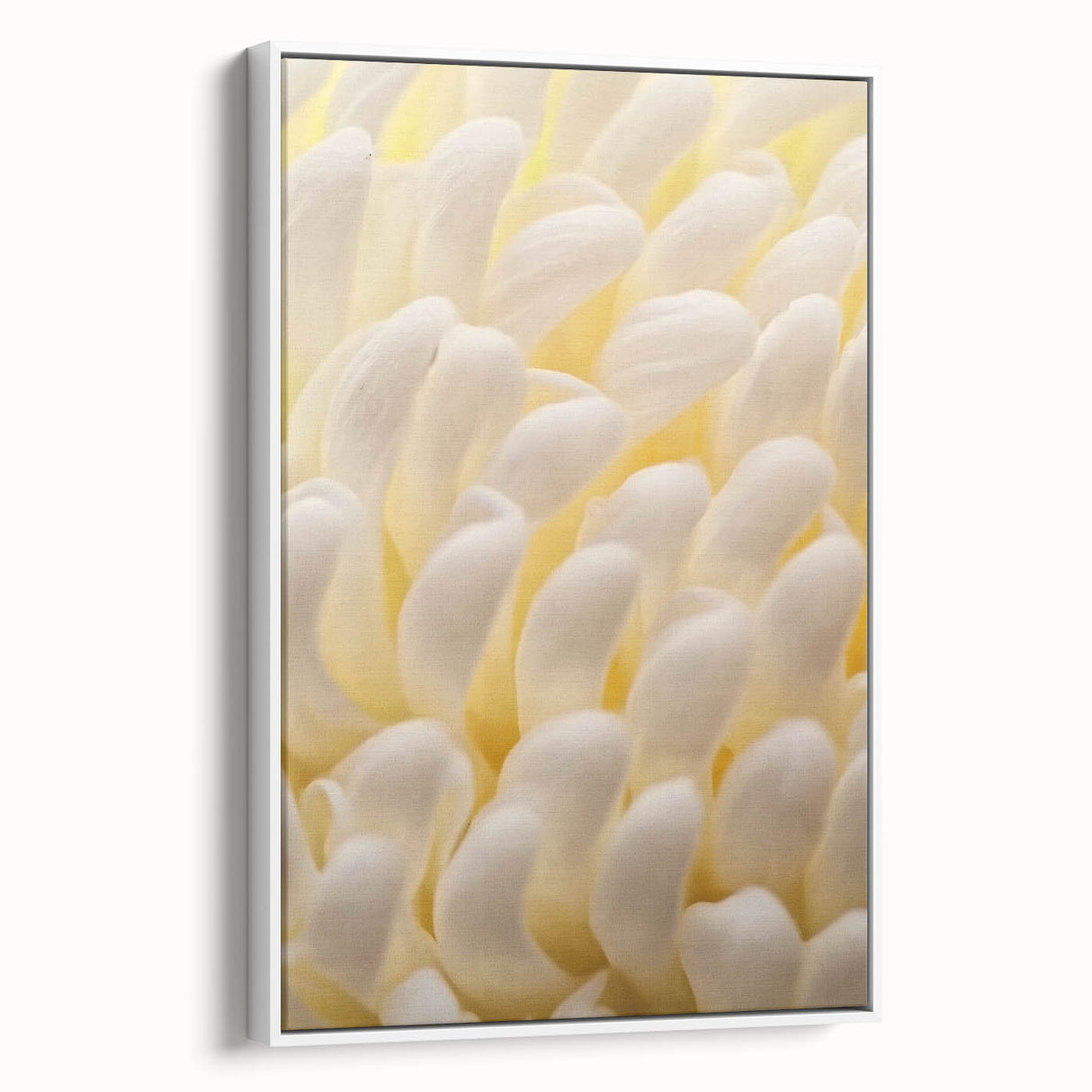 Vintage poster art of colorful florals on a large framed canvas, ideal for living room decor.