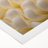 Art deco poster featuring close-up floral designs in muted pastel shades on rolled canvas.