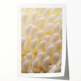 Close-up floral art on a rolled print featuring soft pink and white blossoms, ideal for dining room or bathroom decor.