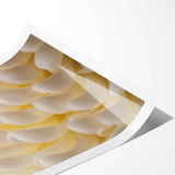 Extra large wall art featuring line art flowers in black on white, rolled print, ideal for large living room decor.