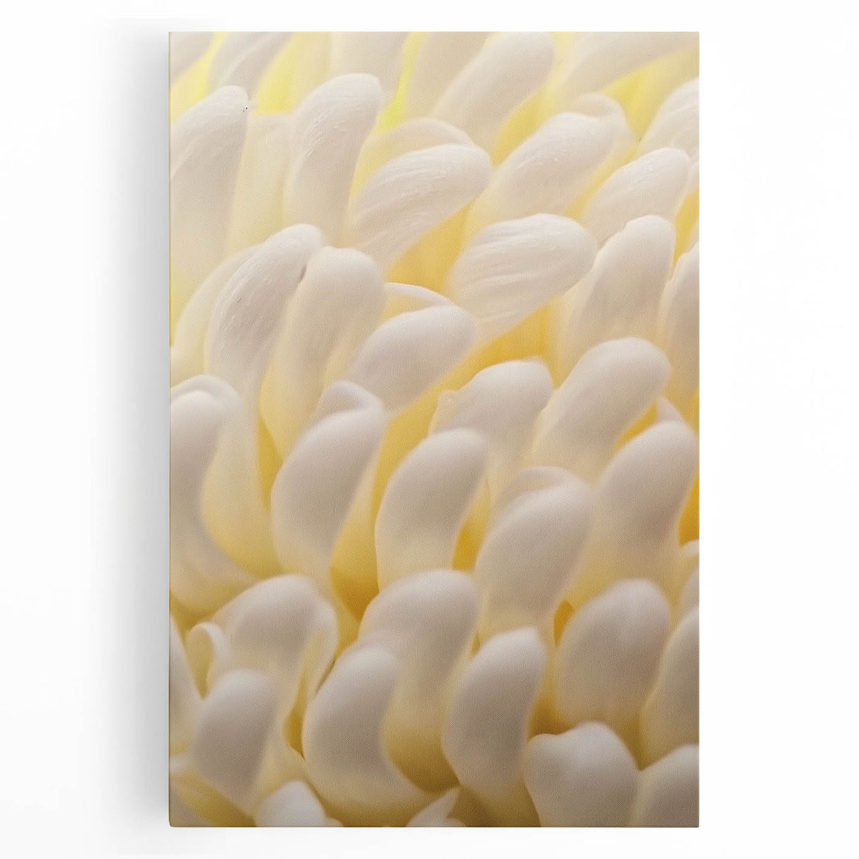 Black and white close-up floral photograph on stretched canvas, ideal for kitchen wall art.