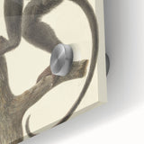 Vintage Realism Monkey Print | Zwarte Brulaap by Pieter Pietersz Barbiers